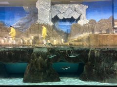 -成都浩海立方海洋公园