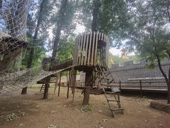 -蟠龙山长城景区