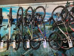 -GIANT捷安特自行车专卖店(金桥台儿庄路店)