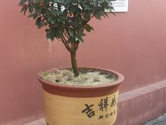 -大理文庙(大理古城)
