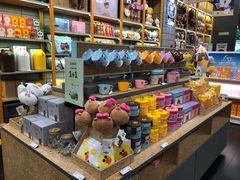 -line friends(明洞旗舰店)