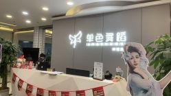 -单色舞蹈