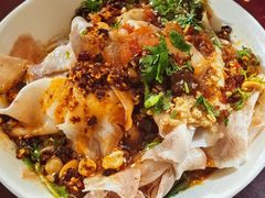 -邓氏大薄片
