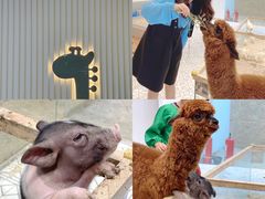 -鹏欣水游城