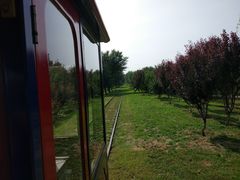 -永定河休闲森林公园