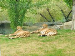 -北京野生动物园