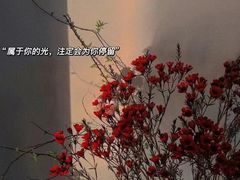 -万科美好广场