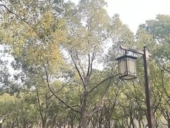 -汤山公园