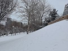 -元大都城垣遗址公园