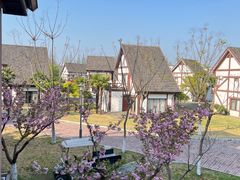 -太阳岛度假酒店