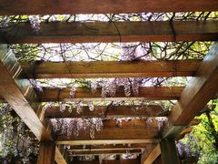 -徐家汇源景区-衡山公园