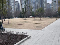 -新江湾城公园