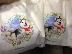 -Husky Go! 哈士奇体验馆·宠物咖啡厅狗咖