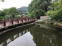 -泉州海丝野生动物世界