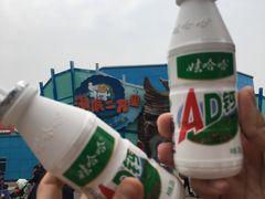 -海合安武汉极地海洋公园
