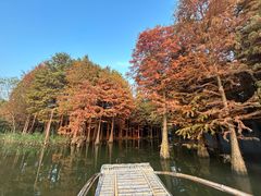 -尚湖风景区