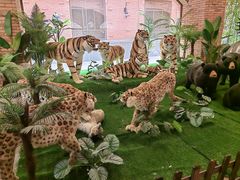 -南宫五洲植物乐园