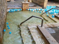 -春晖园度假酒店温泉