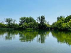 -溱湖国家湿地公园