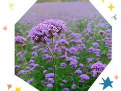 -杭州城北体育公园