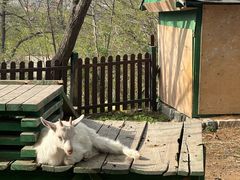 -清风小镇闯关东影视基地