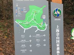 -上海佘山国家森林公园天马山园