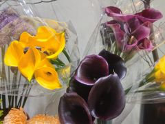 -双季花艺园艺市场(浦东店)