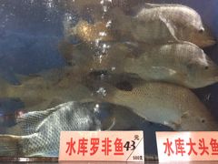 -岭南海晏楼(东晓南店)