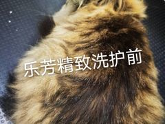 -汪小喵宠物·戴维斯乐芳希施宠馨宝皮毛调理洗护店