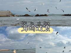 -青岛海滨风景区