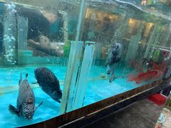 -顺风山庄(水濂山店)