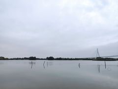 -芒洲湿地公园