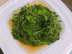 酒香金花菜-协和菜馆(凤凰街店)