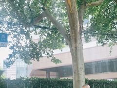 -上海新锦江大酒店
