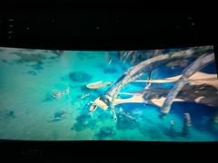 -幸福蓝海国际影城(苏州凤凰店)