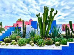 -漳州滨海火山岛自然生态风景区