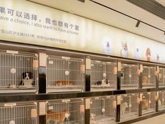 -翊宠yipet猫狗购宠庄园犬舍•猫舍