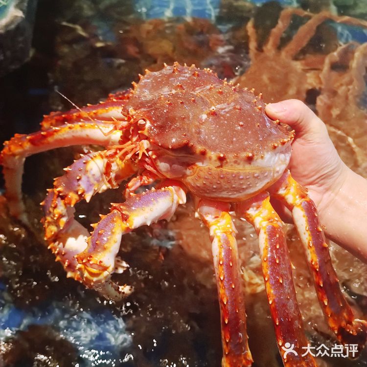 太惊艳了❗️生日在这过🉐好开心🎉❗