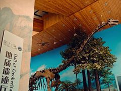 -延庆地质公园博物馆