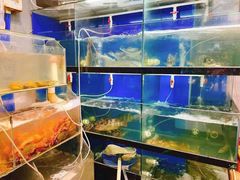 水产区-美味海鲜大排档(明发美食地标店)