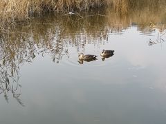 -前关湿地公园