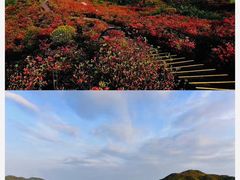 -大围山国家森林公园