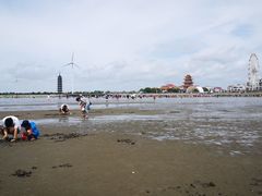 -奉贤海滩