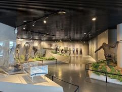 -北京周口店北京人遗址博物馆