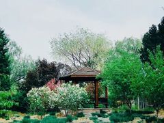 -莲花池公园