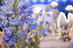 -北京燕尔婚礼策划