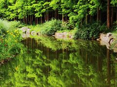 -上海植物园-4号门售票处