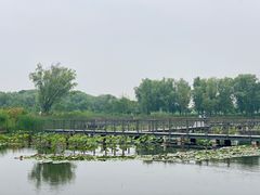 -昆山城市生态森林公园