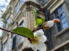 -张学良旧居陈列馆(大帅府)