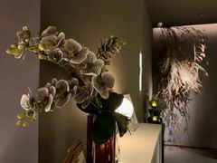 -安屿an·spa(卓悦中心商场店)